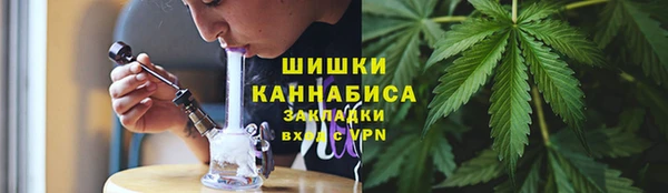 крисы Пестово